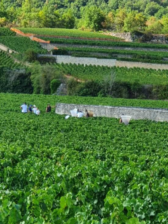 Apartmán La Fruitiere Chaudenay Exteriér fotografie