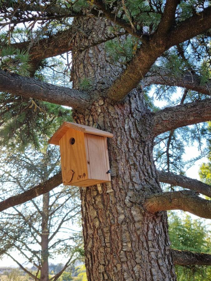 Apartmán La Fruitiere Chaudenay Exteriér fotografie