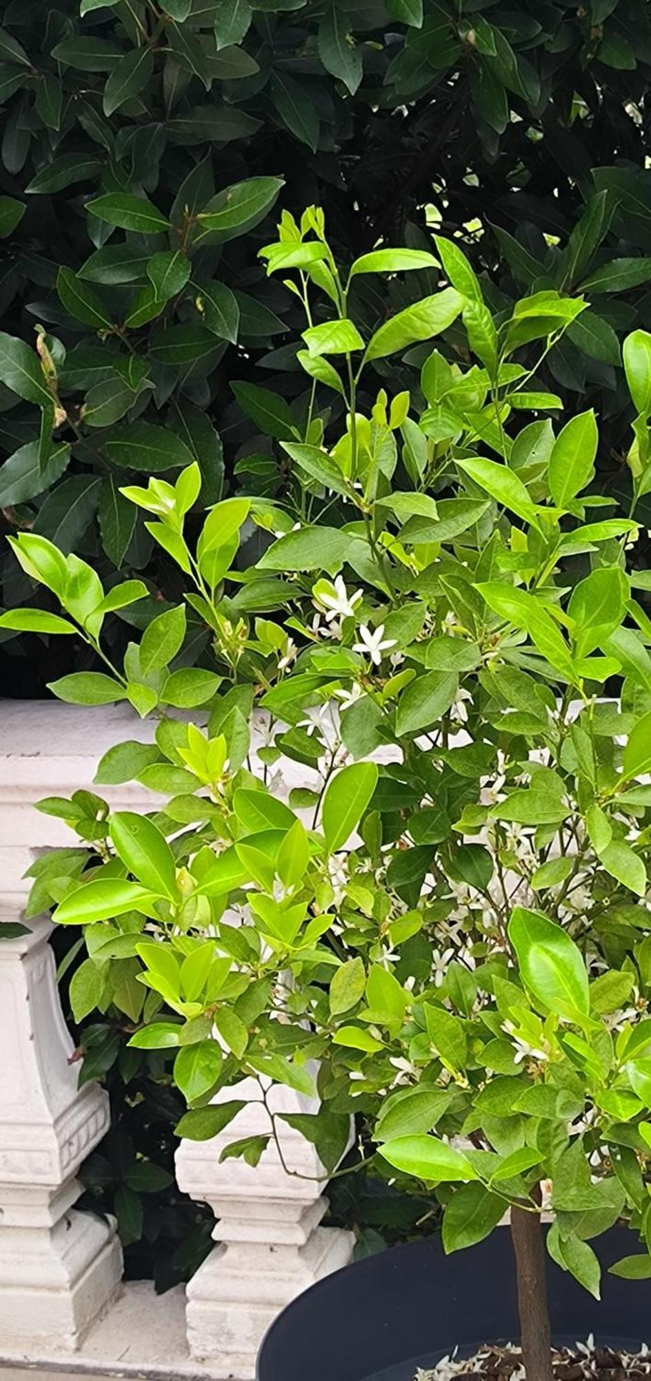 Apartmán La Fruitiere Chaudenay Exteriér fotografie