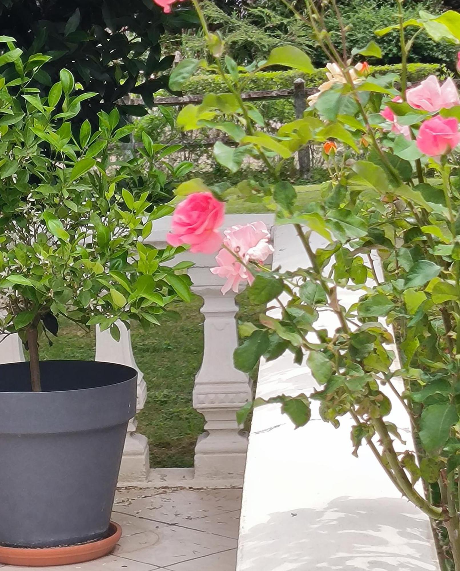 Apartmán La Fruitiere Chaudenay Exteriér fotografie