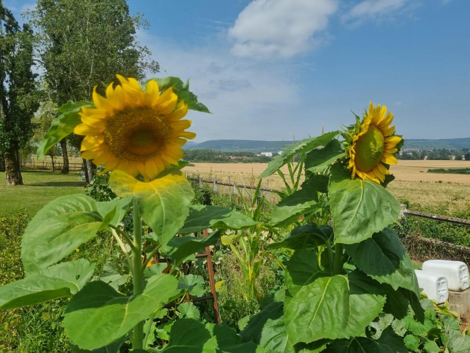 Apartmán La Fruitiere Chaudenay Exteriér fotografie